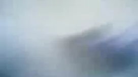 معلم بلوند تصاویر سک ...