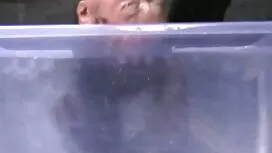 بلوند دلپذیر عکس سکس ...