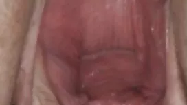 جوجه می خواهد بیدمشک ...