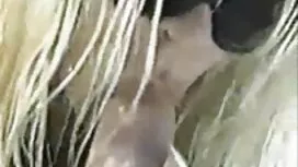 در حالی که با زن خود ...