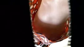 6 هواپیمای بدون سرنش ...