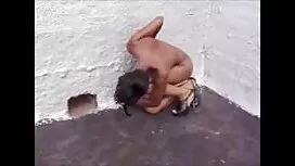 آریانا پر زرق عكس سك ...