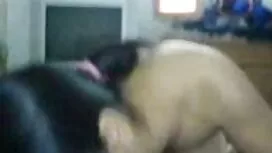 اولیا الاغ محکم و تش ...