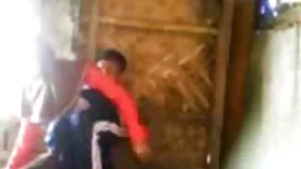 دو زن سیاه چربی لزبی ...