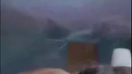 بیدمشک نرم او ، یک ب ...
